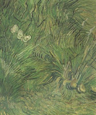 Vincent Van Gogh Two White Butterflies (nn04) Spain oil painting art